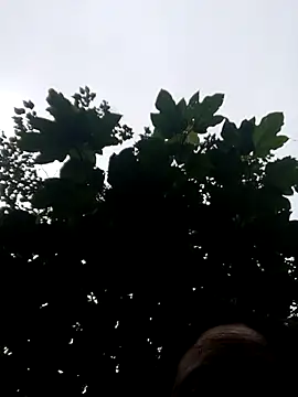 Snapshot of kemtuoi-sex chatting on October 2025 11:05:02 PM kemtuoi-sex online show from October 2025 11:05:02 PM