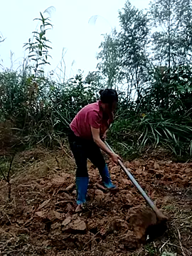 Snapshot of kemtuoi-sex chatting on October 2025 08:37:01 AM kemtuoi-sex online show from October 2025 08:37:01 AM