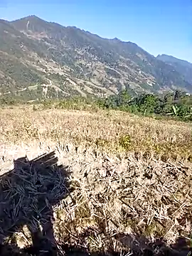 Snapshot of kemtuoi-sex chatting on November 2025 03:32:02 AM kemtuoi-sex online show from November 2025 03:32:02 AM