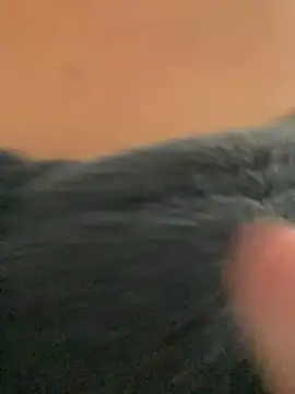 Snapshot of ___seusegredo chatting on February 2026 06:03:01 PM seusegredo online show from February 2026 06:03:01 PM