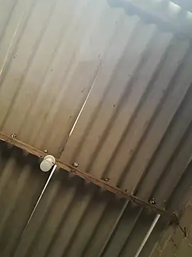 kiimferv online show from November 2025 02:38:02 PM