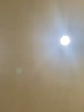 Snapshot of aalvaro98 chatting on February 2026 05:24:01 AM aalvaro98 online show from February 2026 05:24:01 AM