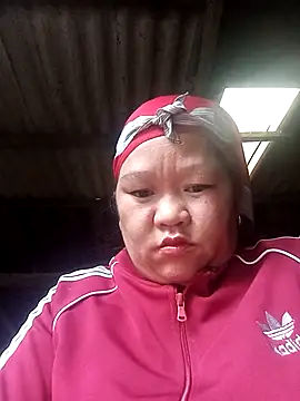 riso-00 online show from February 2026 03:37:02 AM