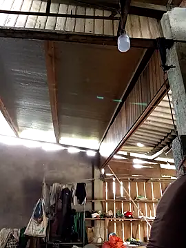 Snapshot of SSexykute3456 chatting on October 2025 03:10:02 AM SSexykute3456 online show from October 2025 03:10:02 AM