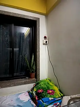 engineerboy14 online show from October 2025 06:43:01 PM