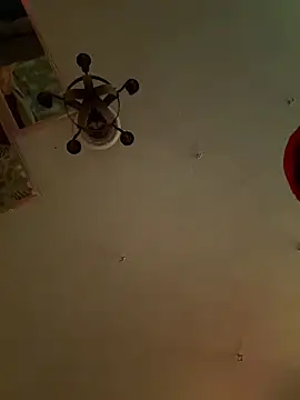 HarmoniousPhantasm3 online show from March 2026 06:24:02 PM