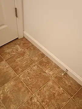 Dotado901xh online show from April 2026 03:23:01 AM