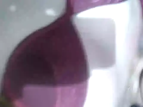 Cachorrinha2025 online show from September 2025 07:54:02 AM