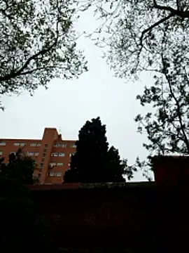 oliver sanders online show from March 2026 08:29:01 AM