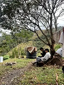 sky-wolves online show from September 2025 03:35:02 PM