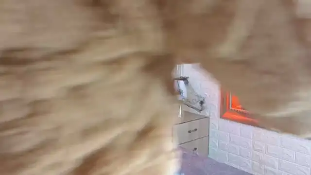 sofiagutierrez   online show from October 2025 03:04:02 AM