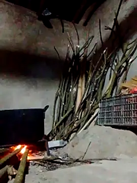 donna-bae online show from March 2026 11:36:01 AM