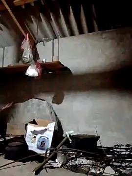 donna-bae online show from April 2026 10:15:02 PM