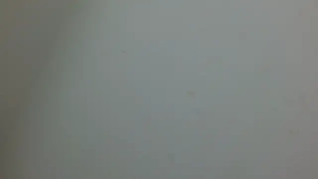 Snapshot of cristal1609 chatting on May 2026 01:07:02 PM cristal1609 online show from May 2026 01:07:02 PM