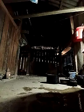 callistra online show from April 2026 11:48:01 PM