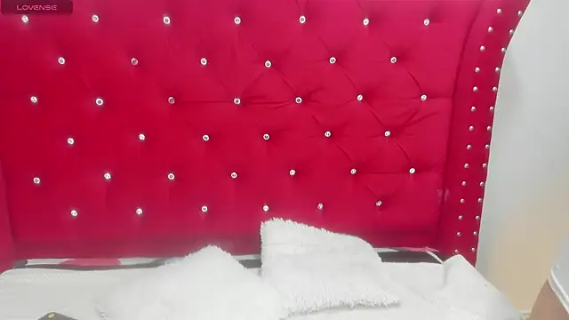 Snapshot of sky-ls chatting on September 2025 03:17:01 PM sky-ls online show from September 2025 03:17:01 PM