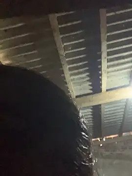 Halyy xx online show from January 2026 01:54:02 AM