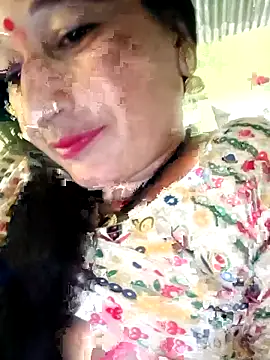 Haliya88 online show from November 2025 08:17:02 AM