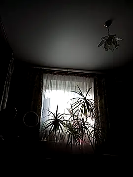 Snapshot of Ponka2011 chatting on July 2026 05:13:01 AM Ponka2011 online show from July 2026 05:13:01 AM