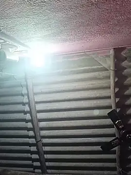 Snapshot of reya743 chatting on December 2025 11:56:02 PM reya743 online show from December 2025 11:56:02 PM