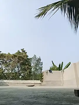 Snapshot of reya743 chatting on February 2026 09:47:01 AM reya743 online show from February 2026 09:47:01 AM