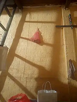 ruby-00 online show from September 2025 03:59:02 PM