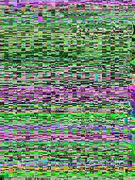 Snapshot of aoyo66 chatting on November 2025 12:16:01 PM aoyo66 online show from November 2025 12:16:01 PM