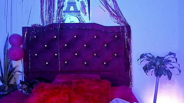 kitty  chs online show from March 2026 04:36:01 AM