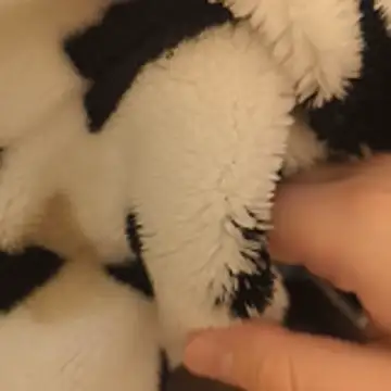 Geilerboy262 online show from November 2025 10:15:02 PM