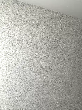 BuzzBunni69 online show from November 2025 07:50:02 PM