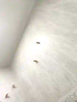 Snapshot of sebas_sexo_goloso chatting on November 2025 06:45:02 AM sebas sexo goloso online show from November 2025 06:45:02 AM