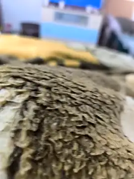 Snapshot of sebas_sexo_goloso chatting on November 2025 08:13:02 AM sebas sexo goloso online show from November 2025 08:13:02 AM