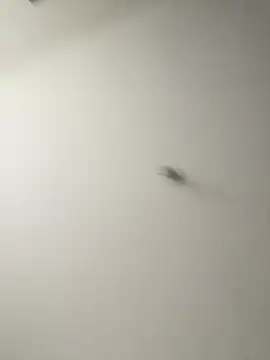 Dania Oconor online show from January 2026 10:23:01 PM