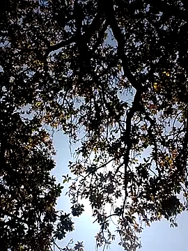 Rs sonam online show from March 2026 05:26:02 AM