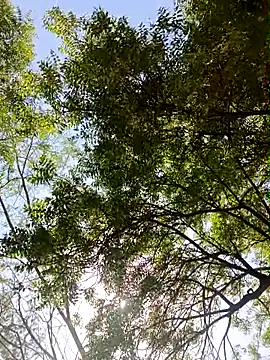 Rs sonam online show from April 2026 09:15:01 AM