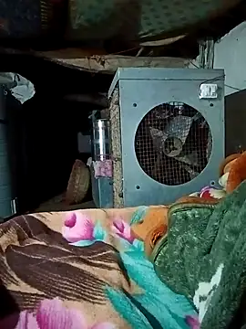 Snapshot of Lona2525 chatting on February 2026 08:38:02 PM Lona2525 online show from February 2026 08:38:02 PM