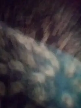 Na shreya online show from February 2026 12:54:01 AM