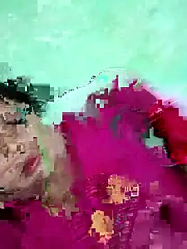 Na shreya online show from April 2026 03:28:01 PM