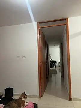 Snapshot of violeticafox chatting on December 2025 03:46:01 AM violeticafox online show from December 2025 03:46:01 AM