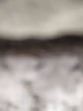 PEEHU-50 online show from March 2026 02:18:01 AM