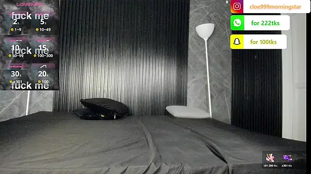 Snapshot of cloemorningstar chatting on November 2025 02:38:02 PM cloemorningstar online show from November 2025 02:38:02 PM