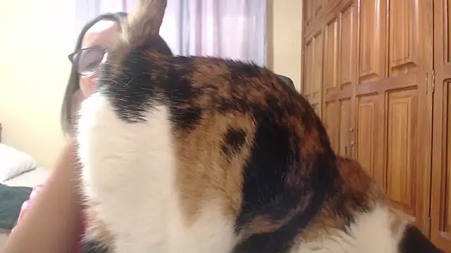 Snapshot of Venus_cat_ chatting on February 2026 09:18:02 PM Venus cat online show from February 2026 09:18:02 PM