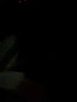 Snapshot of ayrtonmen chatting on February 2026 06:54:02 AM ayrtonmen online show from February 2026 06:54:02 AM