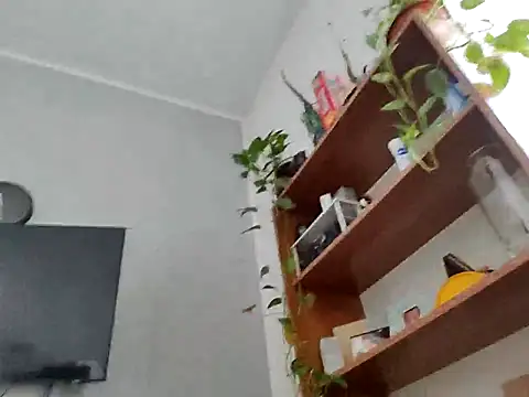 Snapshot of pasajuis chatting on November 2025 10:28:01 AM pasajuis online show from November 2025 10:28:01 AM