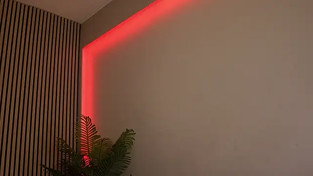 sisi von dee online show from November 2025 08:53:01 PM