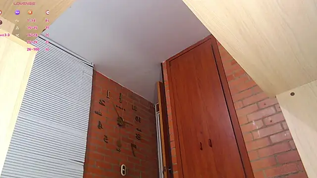 Snapshot of Salome-sw chatting on February 2025 01:55:01 AM Salome-sw online show from February 2025 01:55:01 AM