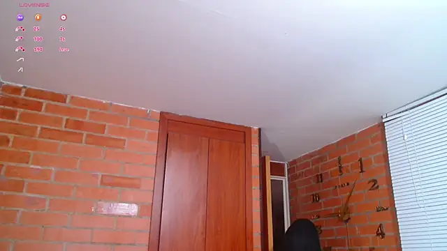 Snapshot of Salome-sw chatting on February 2025 01:02:01 AM Salome-sw online show from February 2025 01:02:01 AM