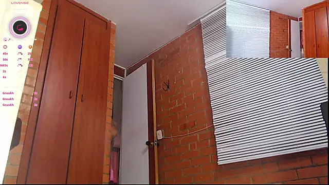 Snapshot of Salome-sw chatting on March 2025 10:21:01 PM Salome-sw online show from March 2025 10:21:01 PM