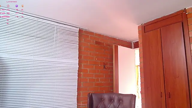 Snapshot of Salome-sw chatting on March 2025 08:03:02 PM Salome-sw online show from March 2025 08:03:02 PM