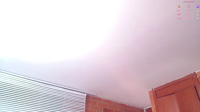 Snapshot of Salome-sw chatting on March 2025 09:56:01 PM Salome-sw online show from March 2025 09:56:01 PM